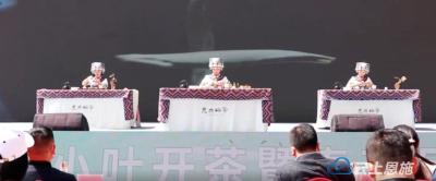 恩施龙凤镇：开茶品茗助力乡村振兴