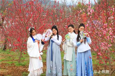 建始：赏花“热”催生“花经济” 
