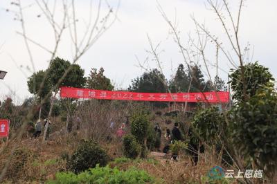 建始：春满大地万物苏 植树添绿正当时 
