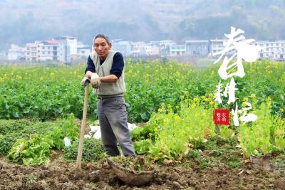 组图 | 建始长梁：不负好农时 春耕备种忙 