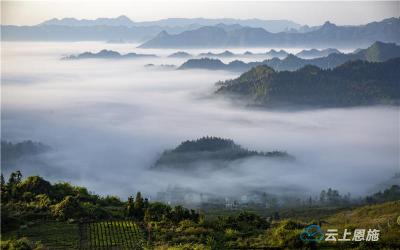 组图 | 利川青岩村：乡村振兴好图景 自然和谐气象新 