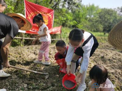 恩施 | 弘扬中华美德，他们在春天播下勤劳的种子！