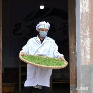 巴东郡贡茶·向家亮入选中华茶人联谊会“百县·百茶·百人”榜！