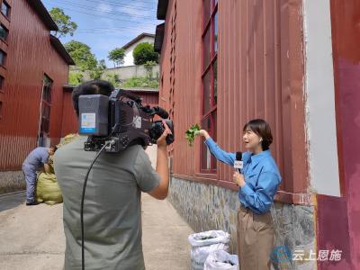 央视《走进老区看新貌》特别节目走进恩施 