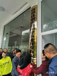宣恩首家乡镇集体经济“强镇公司”正式揭牌成立 