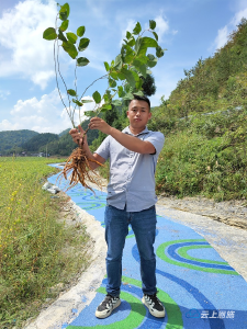 吴奇：新农人的产业梦 