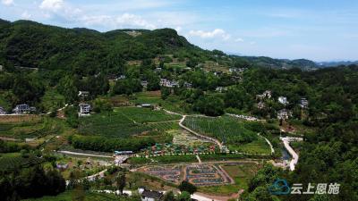 恩施：假日乡村旅游热 