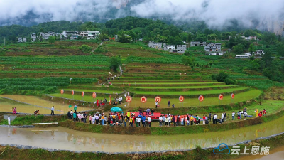 建始景阳：碧水蓝天为背景 百亩水田做舞台 