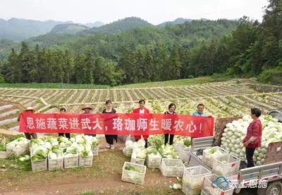 恩施高山蔬菜走进武大师生餐桌 