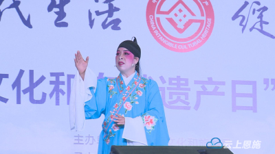 宣恩多形式开展非遗宣传展示活动 