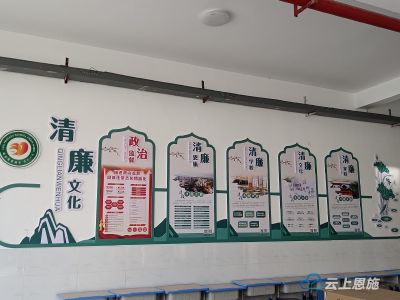 恩施市：清朗校园育“廉花” 