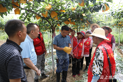巴东成立首个梨园规范化管理科普志愿服务队 