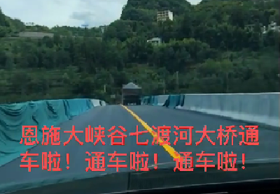 助推旅游纾困 恩施大峡谷大桥提前通车 