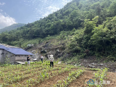 【下基层 察民情 解民忧 暖民心】鹤峰：高效推进“017”模式 宅基地审批 