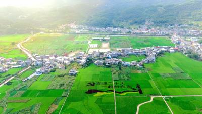 恩施州建始县：巨幅创意稻田画 喜迎党的“二十大”