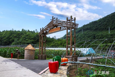 建始太和街村：“特色村寨+旅游”助力乡村振兴 