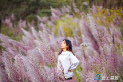 快来打卡湖北巴东的芦苇荡