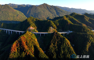 鹤峰：秋阳耀长龙 畅通促振兴 