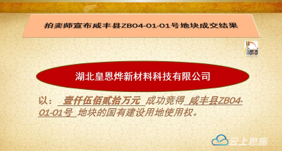 咸丰：“3+x”标准地出让助力企业落户