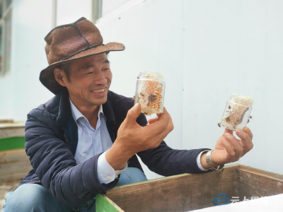 湖北鹤峰：“甜蜜事业”点亮乡村振兴梦