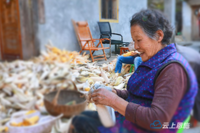 组图｜儿女团聚庆丰收，八十老人笑开颜！ 