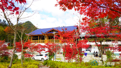 湖北鹤峰：秋色染大坪 旖旎如诗画