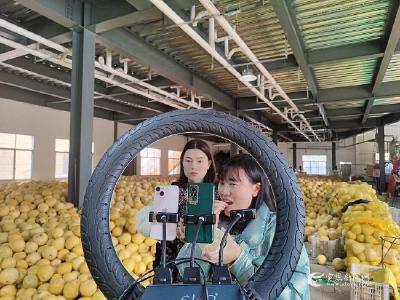湖北宣恩李家河：直播带货助力白柚销售 
