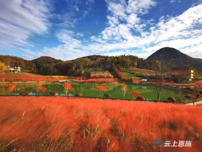 【美好环境与幸福生活共同缔造】湖北建始：照京坪村以“共同缔造”绘就“红色美丽村庄”新画卷