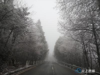 利川积极应对本轮低温雨雪冰冻天气
