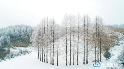湖北建始：初雪落山乡 