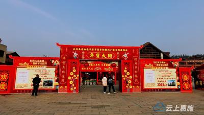 湖北来凤：年货街里闹新年 乡村振兴新图景 