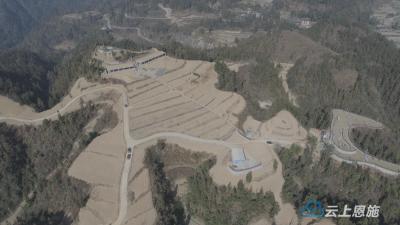 湖北来凤：藤茶基地复工复产 村民抢捉农时保收成 