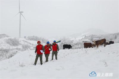 组图 | 湖北利川：雪山特巡保春节用电 