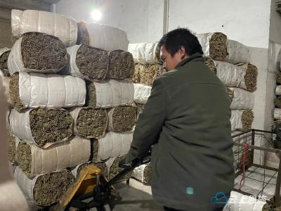 湖北鹤峰：箬叶订单旺 生产加工忙 