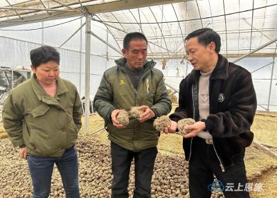 湖北建始：校企合作育人才 助推农业新发展 