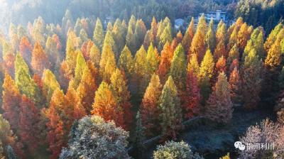 利川三地入选郁江流域鄂渝乡村旅游精品路线