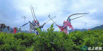 中国藤茶之乡——湖北来凤