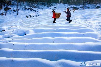 恩施利川乡村雪韵
