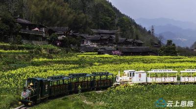 恩施宣恩：开往“春天的小火车”迎来最美春色