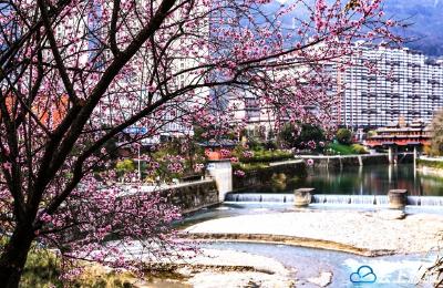 恩施鹤峰：容美春韵