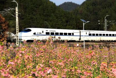 恩施建始：花间漫步寻春色 陌上踏青拾野趣