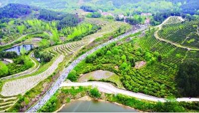 第三届“问津之路”徒步大赛日前在武汉新洲举行