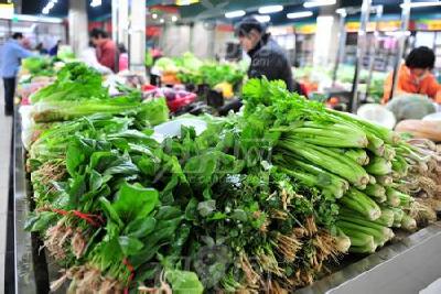本地时蔬提前开采 江城部分蔬菜身价降了三五成 