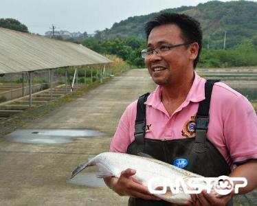 武汉“大白刁”游向全国 一年10亿尾幼苗远销20多省