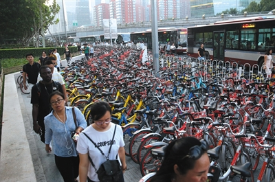 平均每14人一辆单车 北京暂停共享单车新增投放