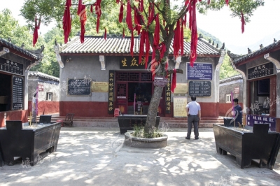 [寻访十堰美丽乡村17]竹山三台村：休闲农业惹人醉