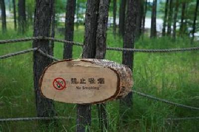 城区风景林地下月进入新一轮防火期 近期将巡回监督检查