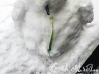 这场雪被十堰人玩坏啦