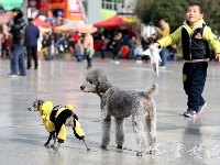 周末市民纷纷走出户外尽享冬日暖阳