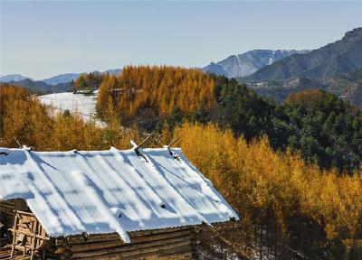 神农架初雪秋色别样美 山上冰雪山下秋